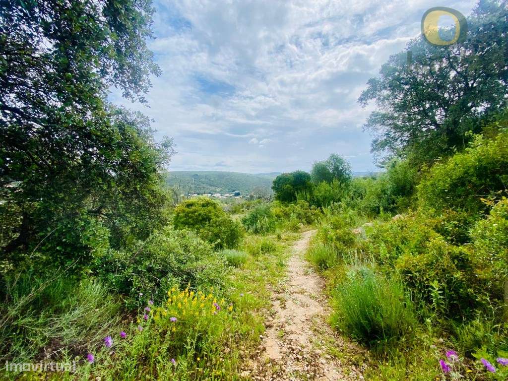 Terreno com duas ruínas e vista sobre o mar e serra - Grande imagem: 4/5