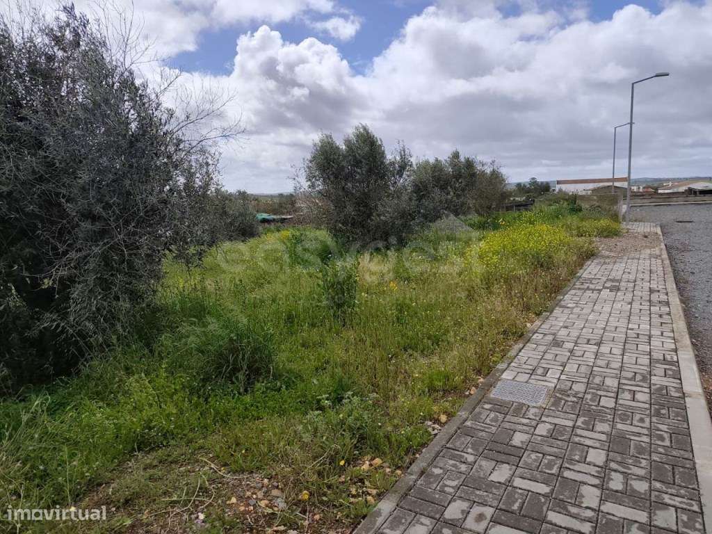 Lote para Construção em Montes Velhos, São João de Negrilhos - Conc... - Grande imagem: 5/17