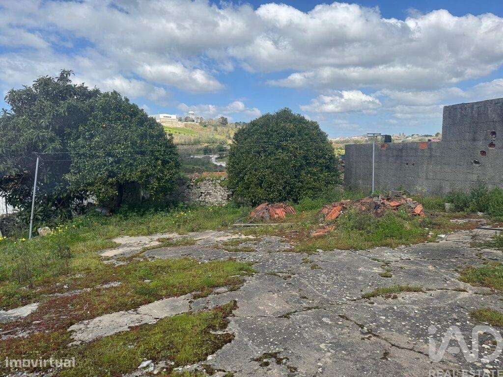 Casa de Campo em Aljubarrota de 46 m2 - Grande imagem: 4/16