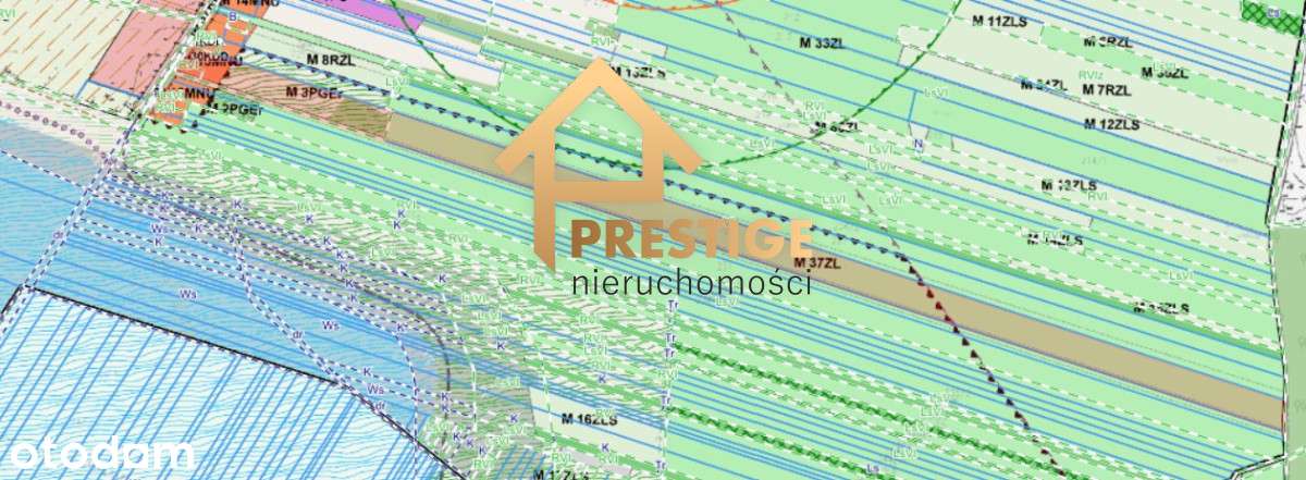 Wyjątkowa enklawa 4,94ha działka budowlana z lasem-11