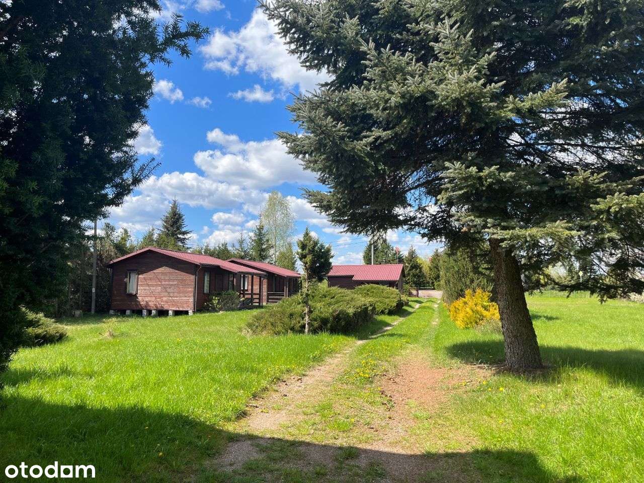 Działka z dost. do jeziora w Puszczy Augustowskiej - Pełny obrazek: 4/14