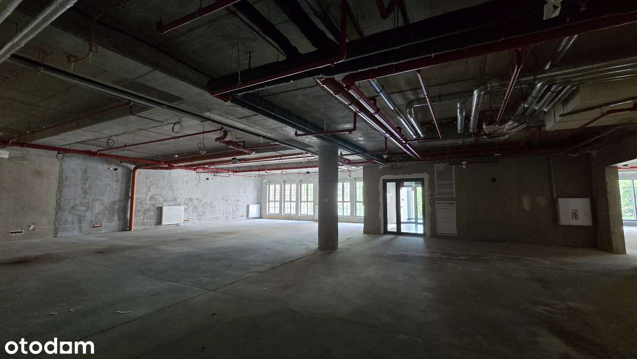 Idealny pod biuro lub usługi – 196 m² w Hanza Tower - Pełny obrazek: 5/7