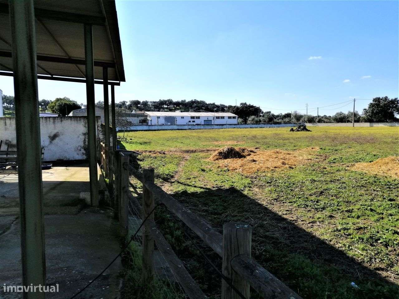 Quinta em Évora com 2,25 ha vocacionada para o mundo equestre-18