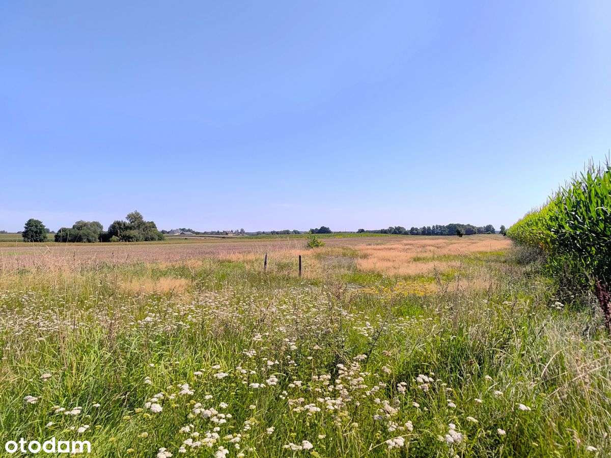 Działka z Mpzp. - Pełny obrazek: 4/7