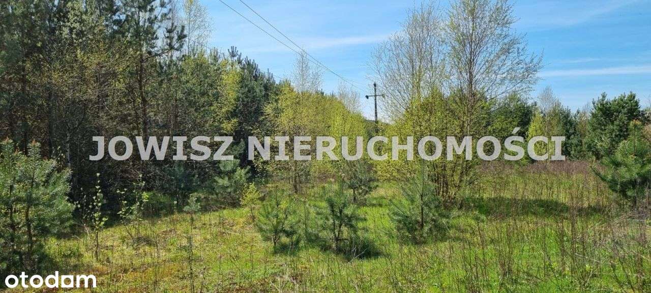 Działka Koleczkowo z warunkami zabudowy 369 tys. z-1