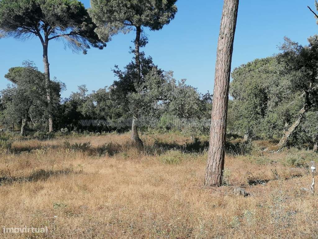 Terreno para cosntrução na Lagoa de Albufeira-0