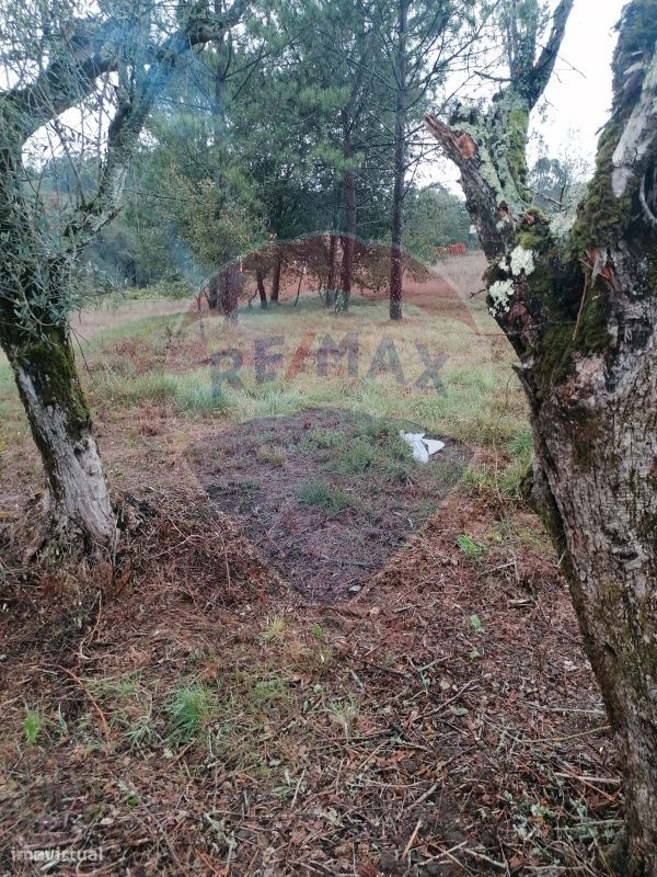 Terreno  para venda - Grande imagem: 1/3
