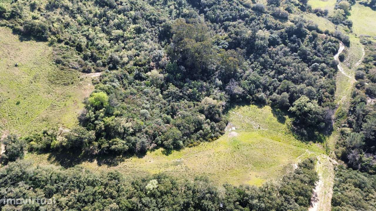 Terreno Rústico em Vila de Rei, Bucelas – Loures - Grande imagem: 5/7