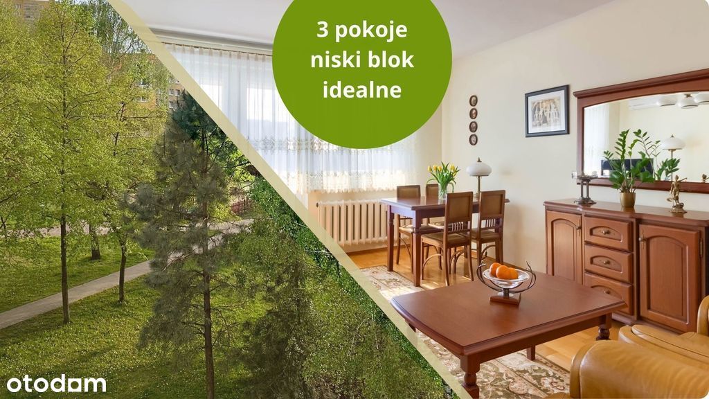 3 Pok | Klimatyzacja | Widok Na Zieleń