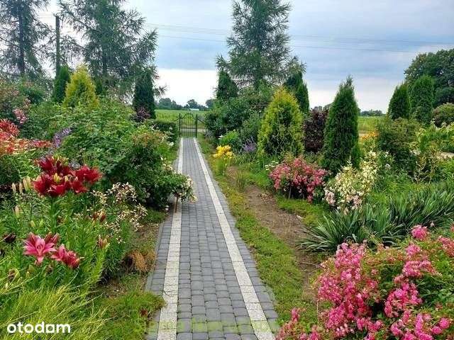 Dom, 128 m², Piątek-7