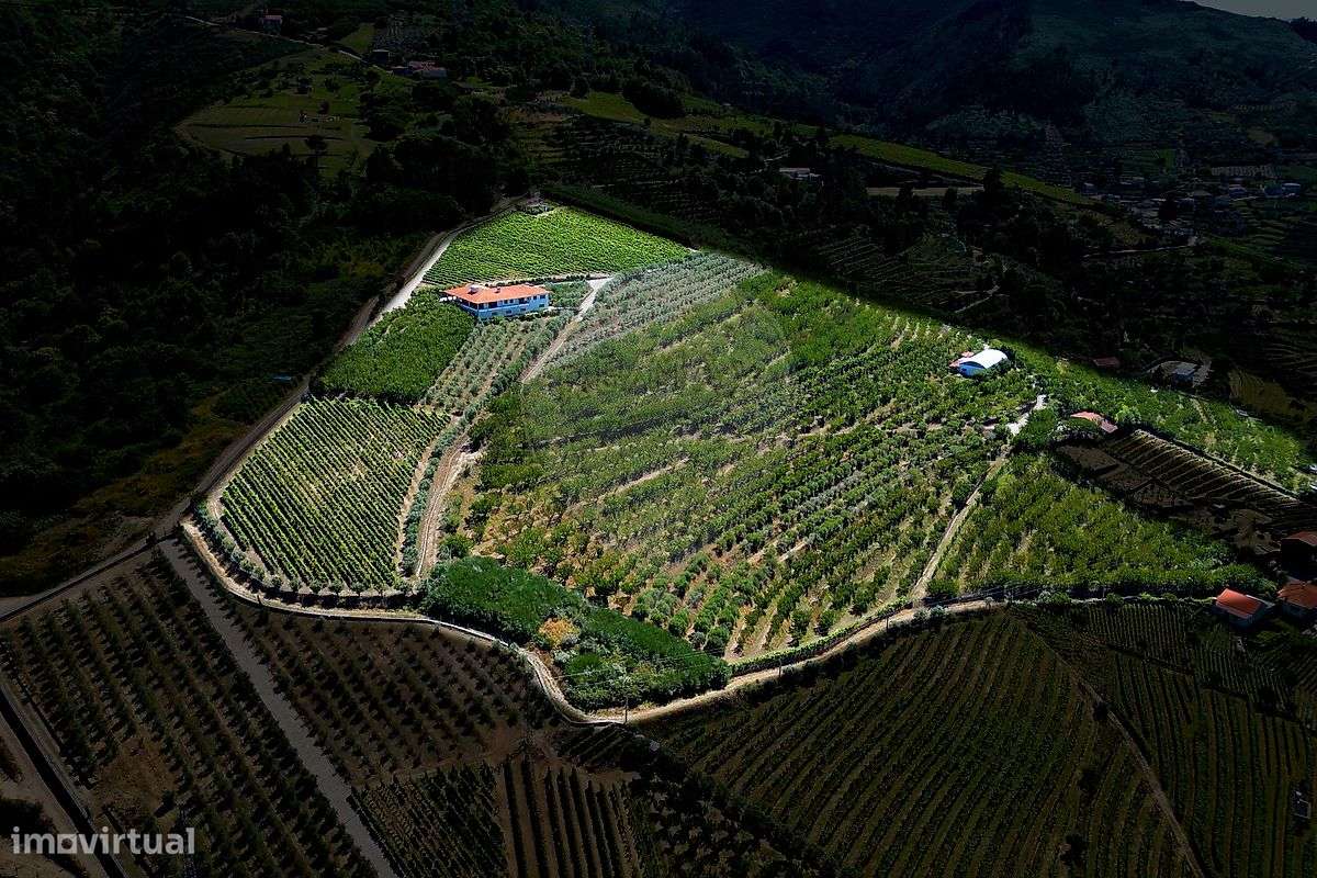 Quinta  para venda-2