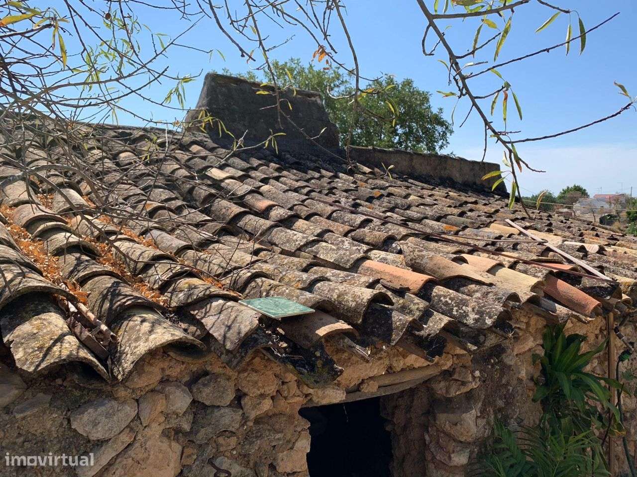 Terreno Urbano, com 3 artigos, Colmeal-56