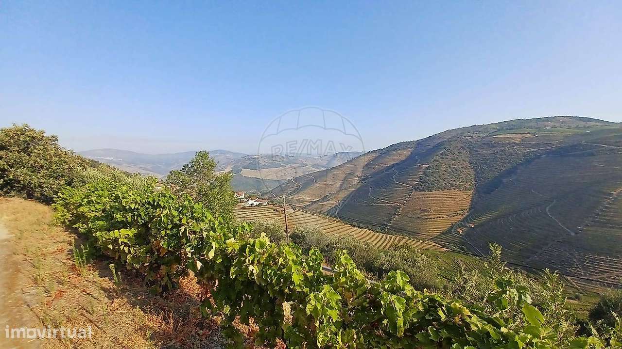 Quinta  para venda-4