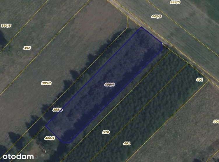 Działka w Korytowie - Pełny obrazek: 2/3