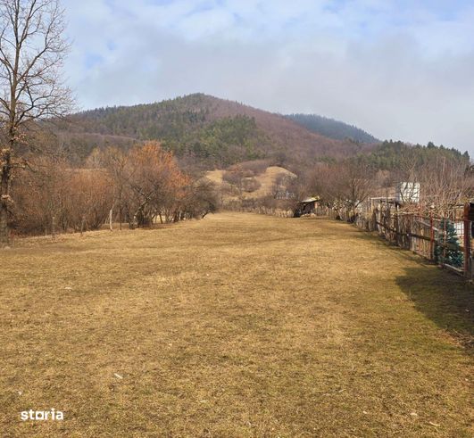 Teren 7 km de Piatra-Neamt pretabil pensiuni/ vile!!-3