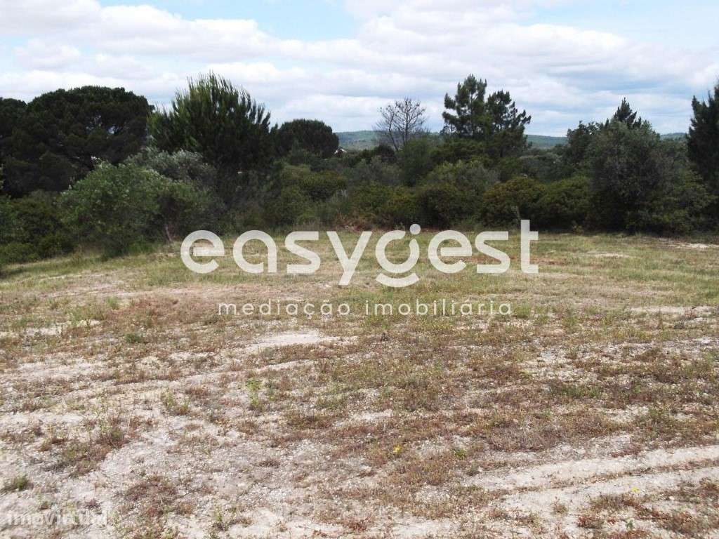 Terreno Rústico de 10 hectares a cerca de 15 minutos de Torres Novas - Grande imagem: 5/12