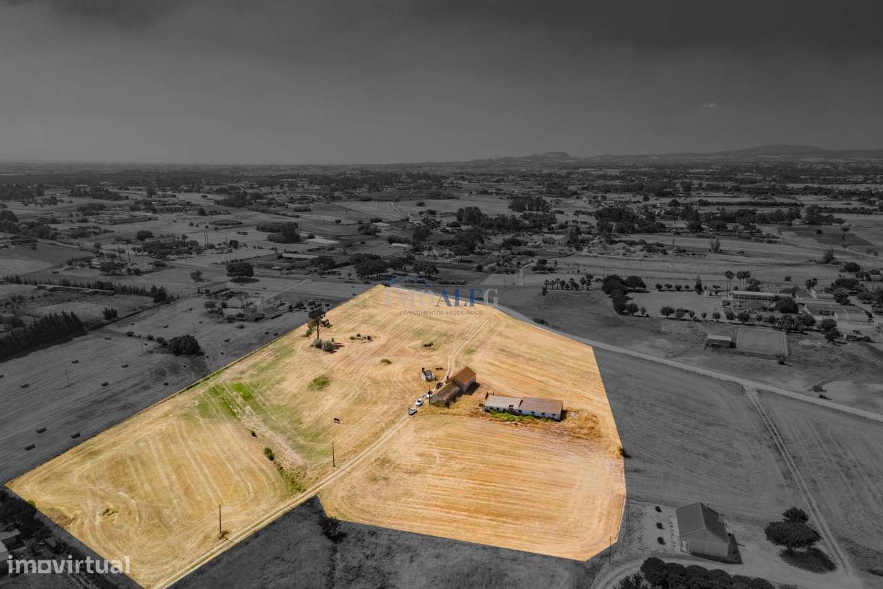 Terreno com 35000 m2 e moradia para reconstruir no Montijo-8