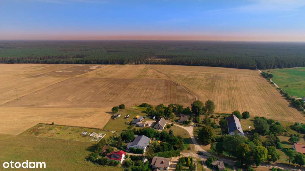 Tania działka budowl. pod lasem. Janczewo Kolonia-3