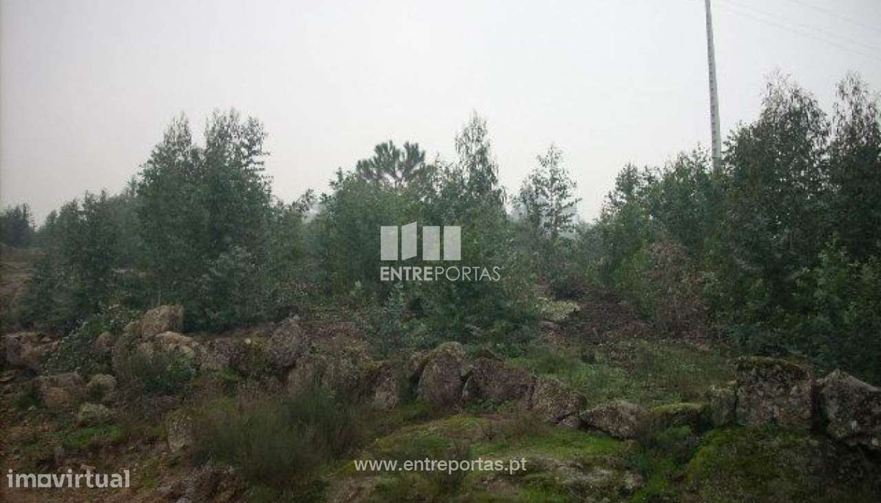 Venda Terreno, Várzea do Douro, Marco de Canaveses - Grande imagem: 2/12