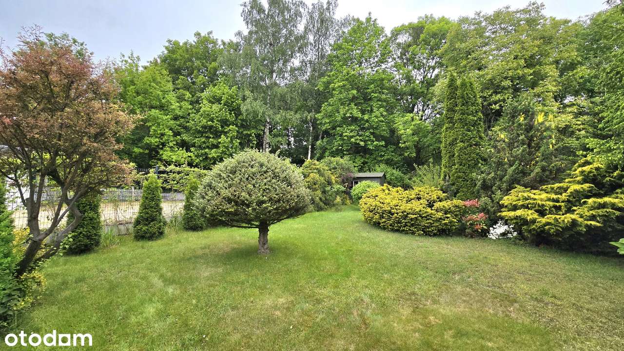 Przestronny dom, dwa odrębne lokale, ładna i duża działka!-2