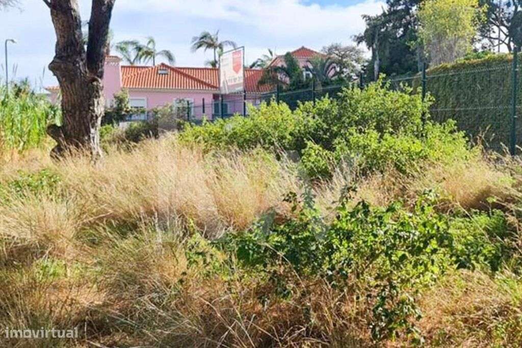 Terreno com 779m2 nas Virtudes com vista magnifica sobre a baía do Fun - Grande imagem: 4/6