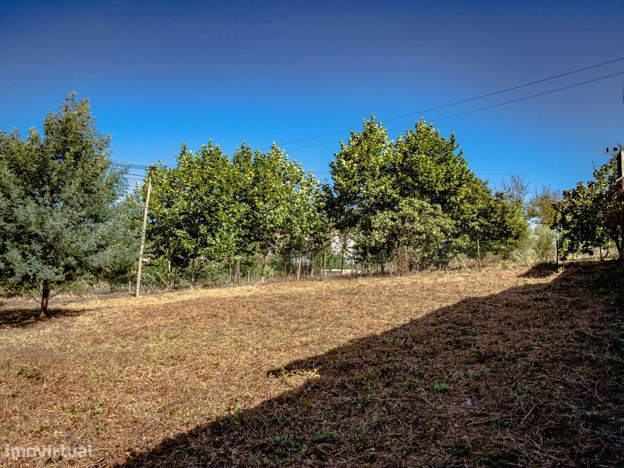 Terreno para construção de moradia isolada, Oiã, Oliveira do Bairro - Grande imagem: 5/11
