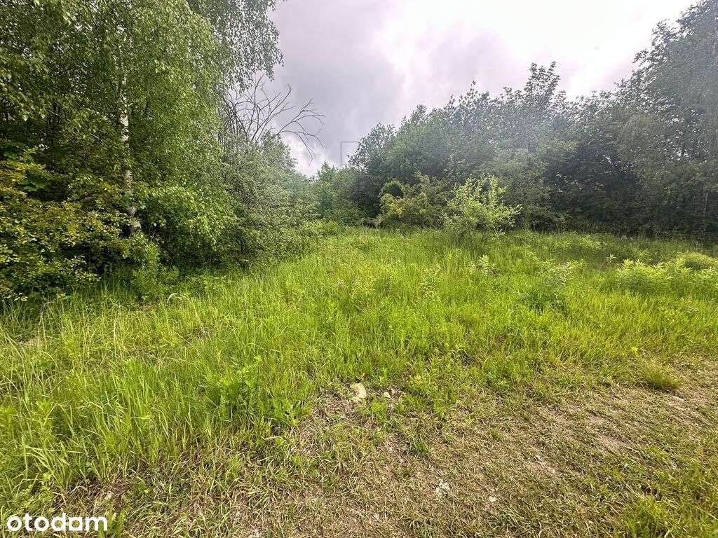 Podzamcze-działki w sąsiedztwie Zamku Ogrodzieniec-10