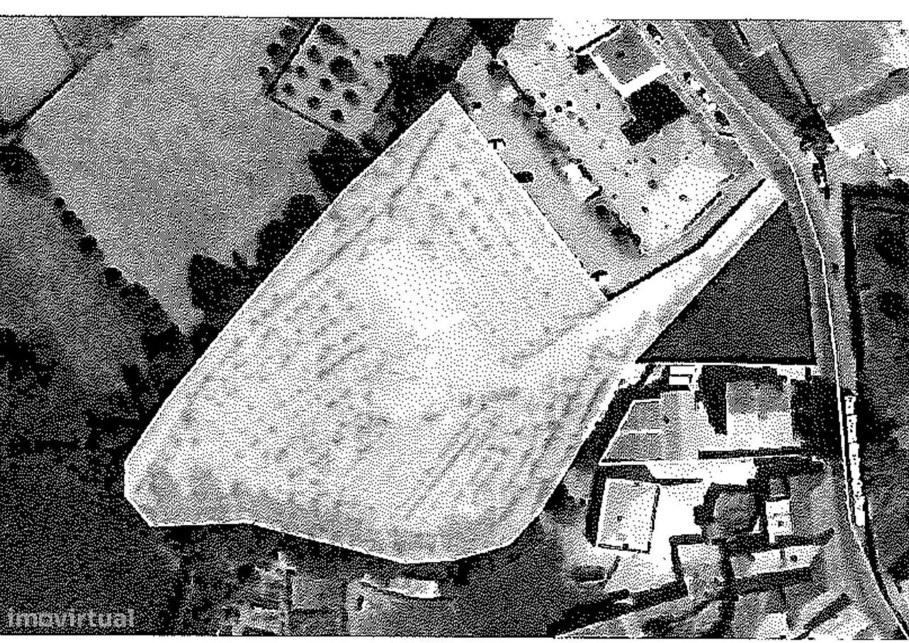 Terreno Rústico com árvores de Fruto em Serzedo Vila Nova de Gaia - Grande imagem: 5/7