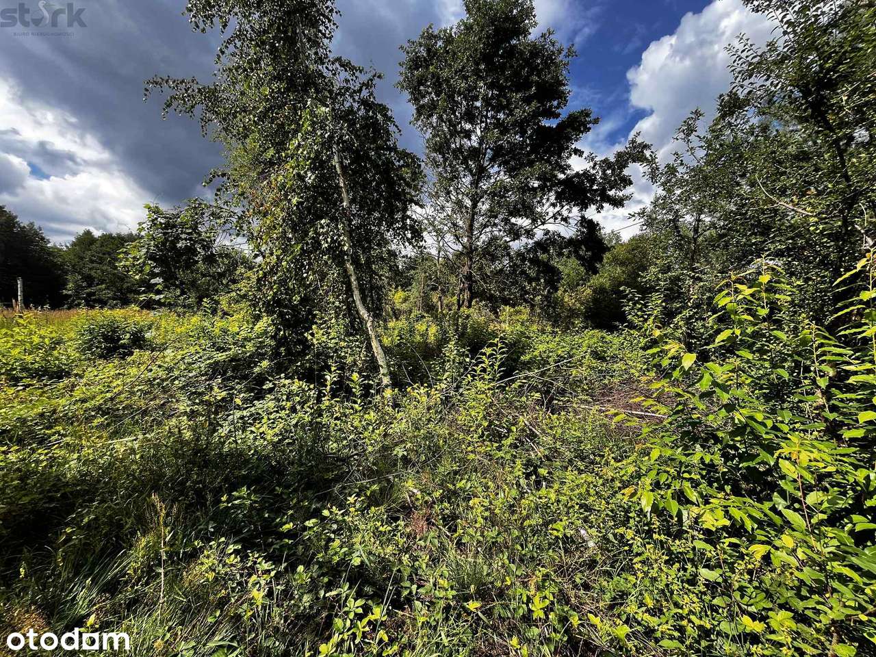 Działka  800 m2 Henryszew z MPZP  150 zł 1 m2 - Pełny obrazek: 5/13