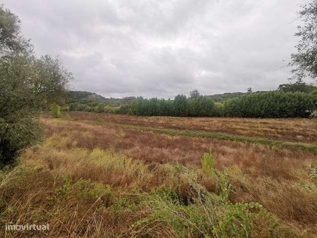 Terreno varzea, ribeiro furo e charca com possibilidade de construção - Grande imagem: 5/30