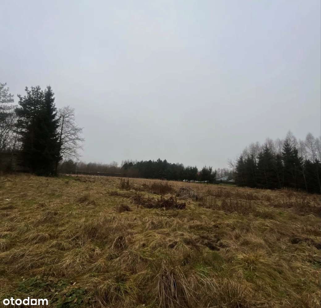 Działka budowlana 20 minut od Sky Bridge 721 - Pełny obrazek: 3/12