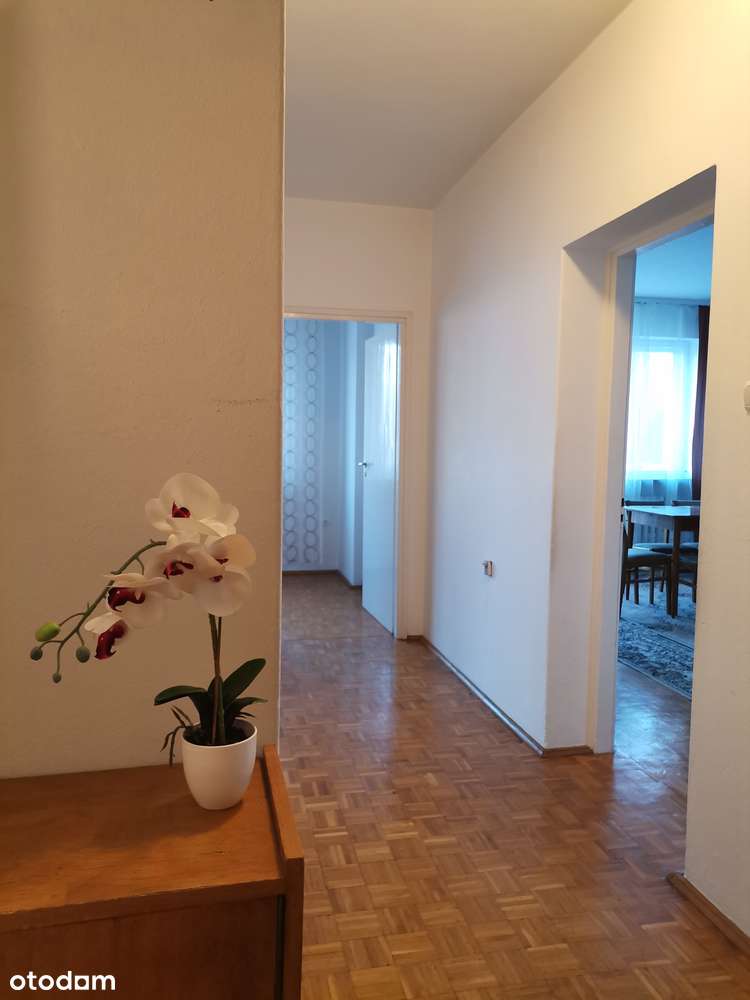 Unikatowy dom wolnostojący z dużym potencjałem - w zacisznej uliczce!-6