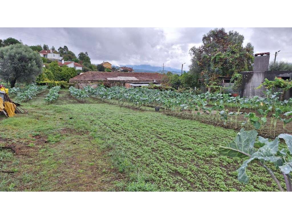 Terreno para construção em Santa Comba - Grande imagem: 4/17