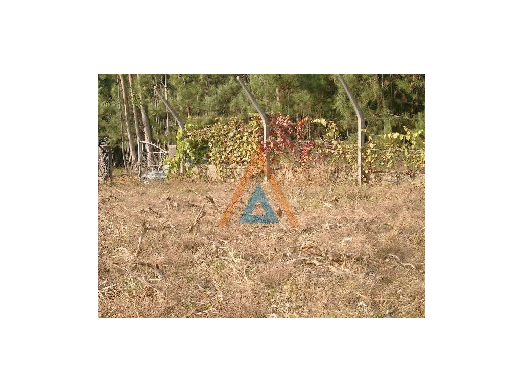 Excelente Terreno urbano - Grande imagem: 3/5