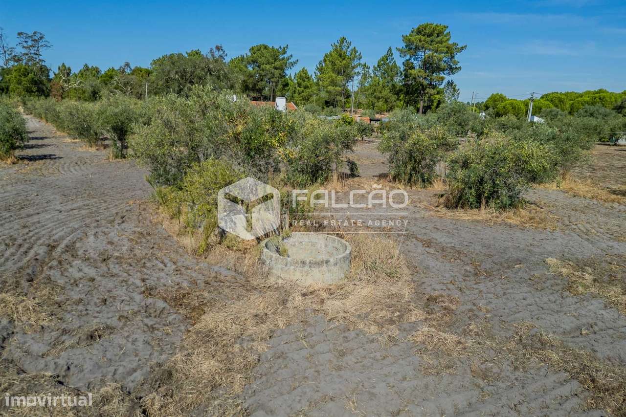 Moradia T3+2 Venda em Grândola e Santa Margarida da Serra,Grândola-25