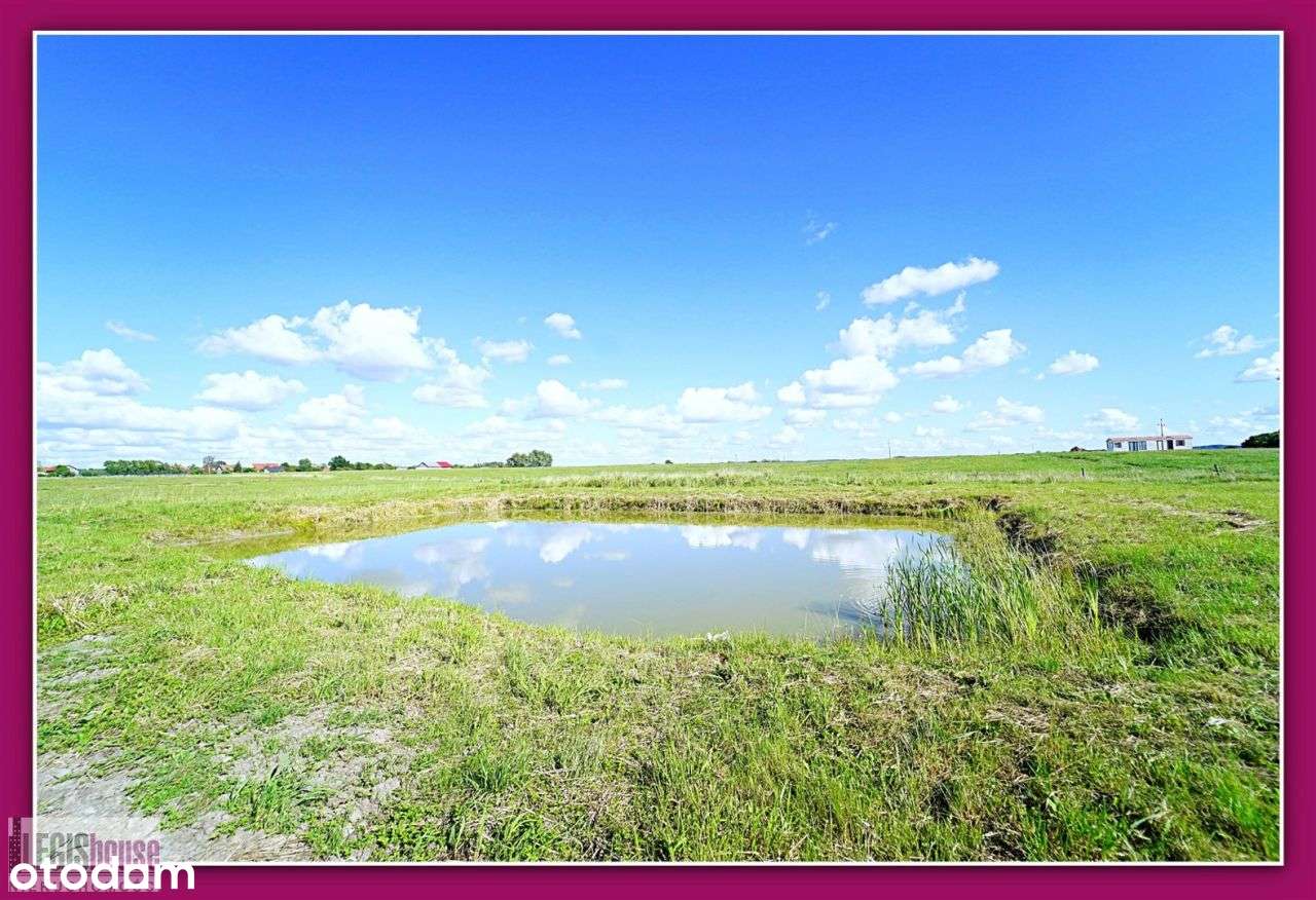 Działka 1999 m2* zarybiony staw* jezioro i plaża-11