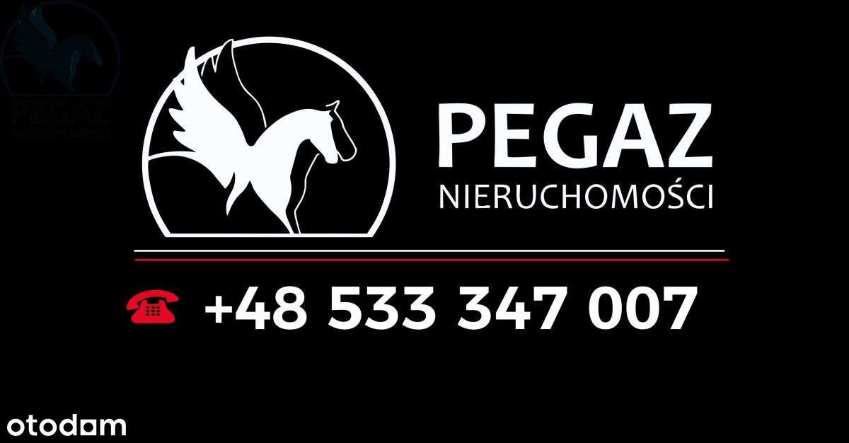 Piękny dom z dwoma niezależnymi mieszkaniami.-11