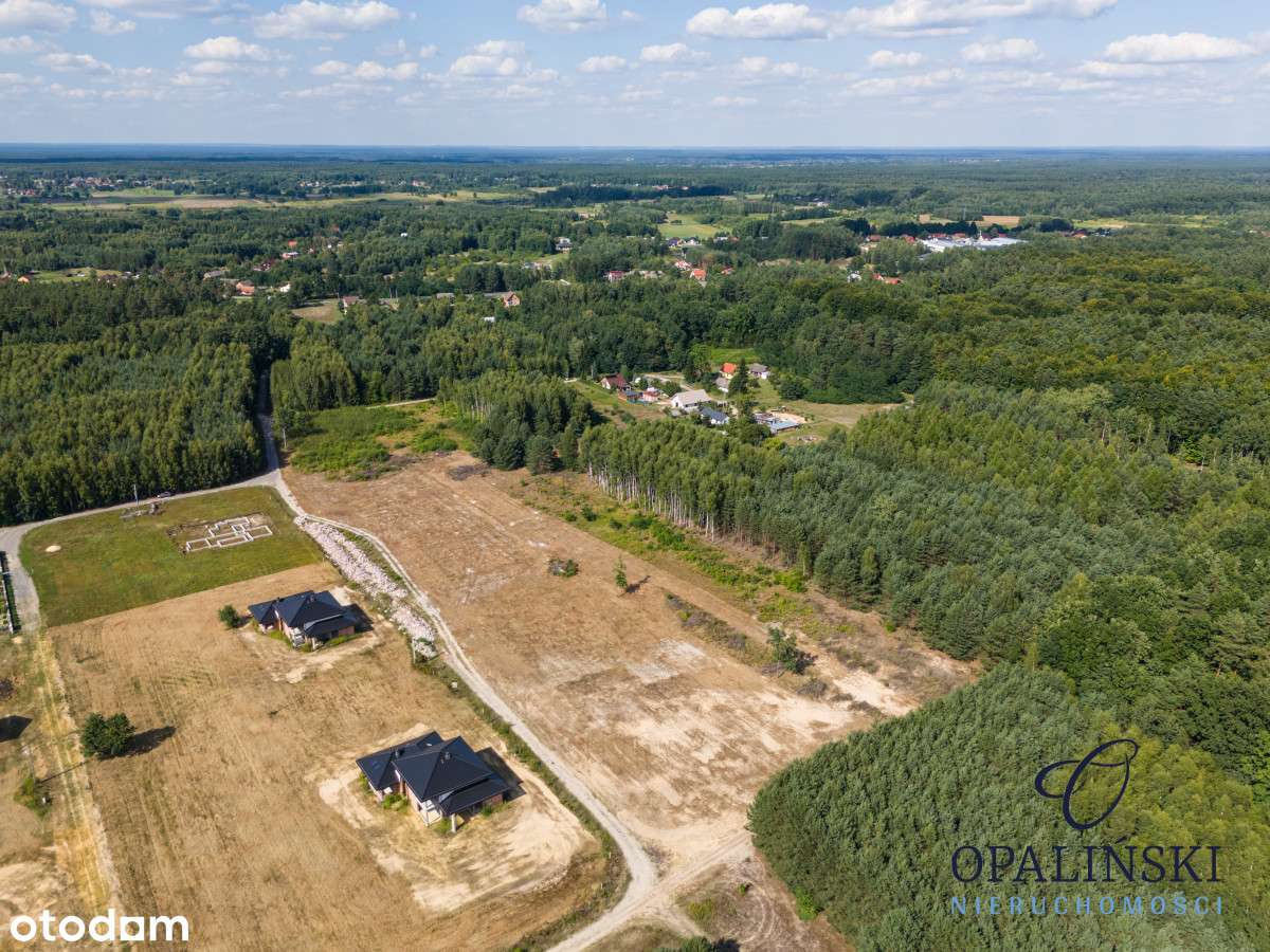 Otoczenie lasu | Cicha okolica | Mpzp | Inwestycja-7