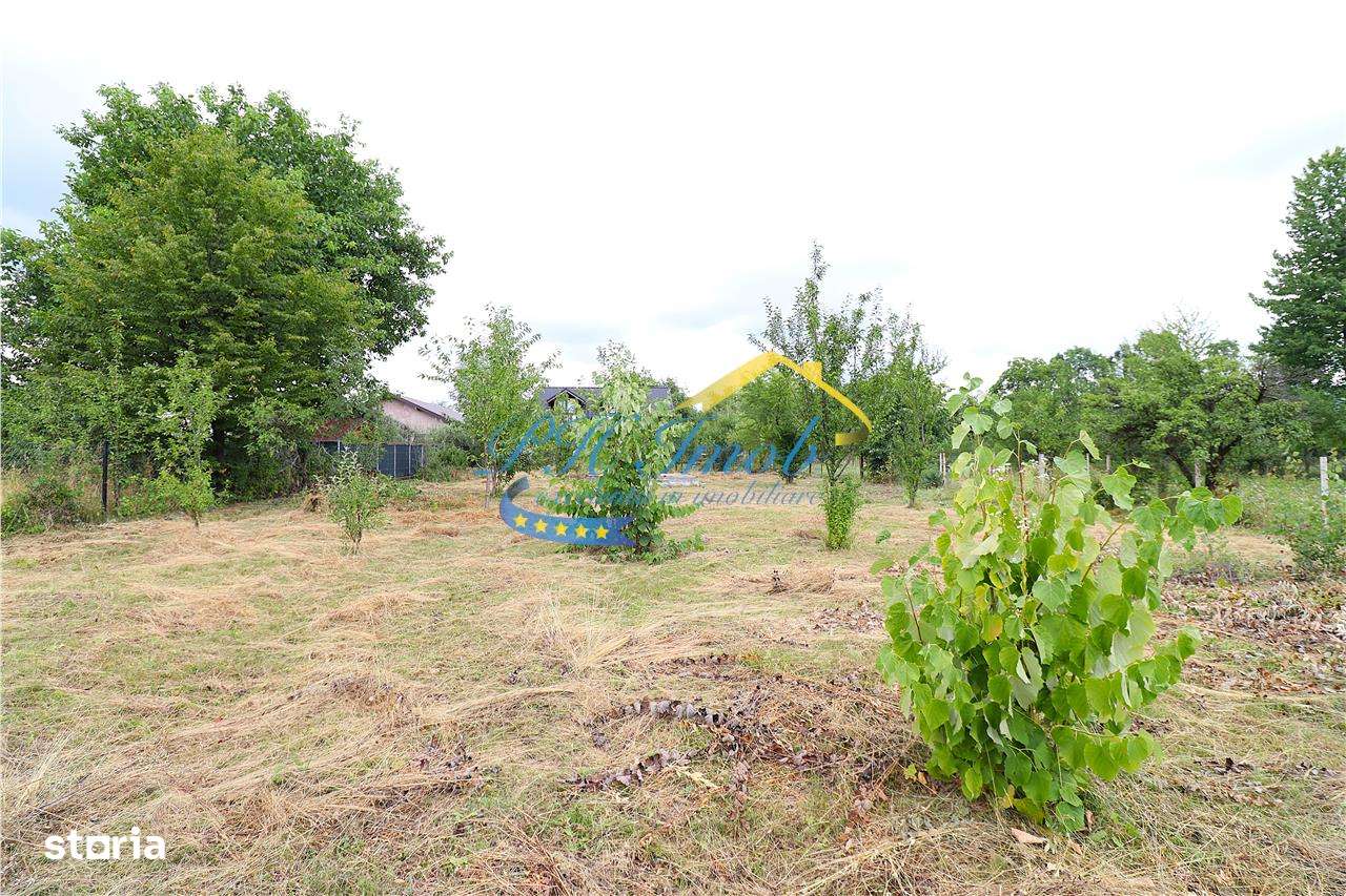 Teren Intravilan de vanzare, Campina - Imagine principală: 3/6