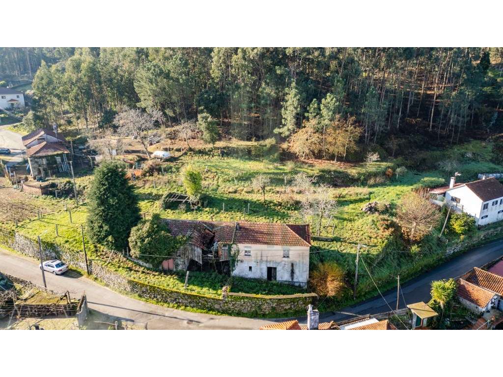 Quintinha com 3567m2 e vistas rio - Grande imagem: 3/14