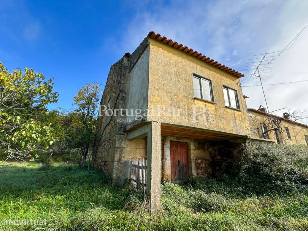 Quintinha de 20 hectares - Grande imagem: 4/60