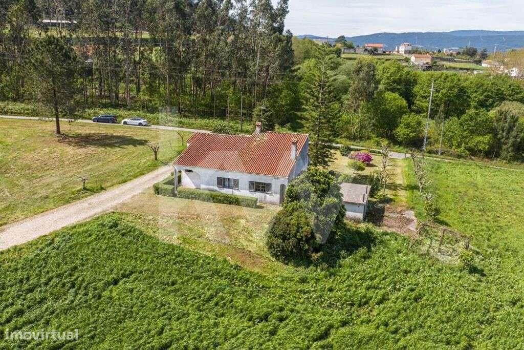 Quinta Torre de Penafiel, com 17 hectares e parecer favorável para emp - Grande imagem: 5/36
