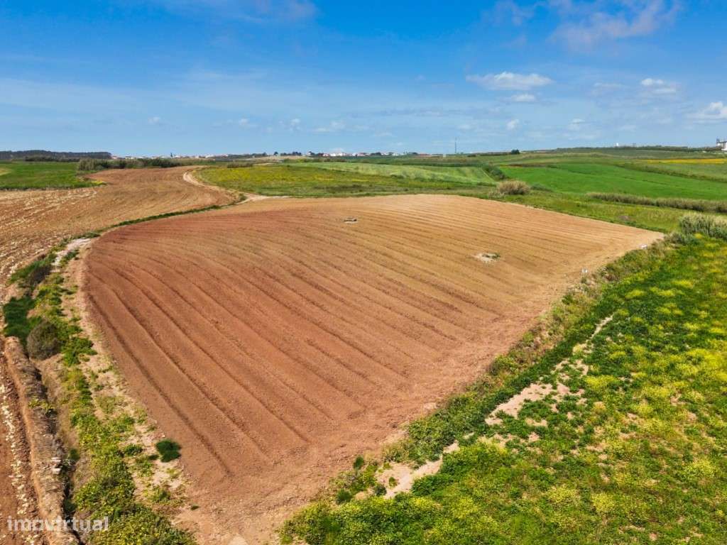 Venda de 2 Terrenos Agrícolas na zona do Paimogo, Lourinhã-27