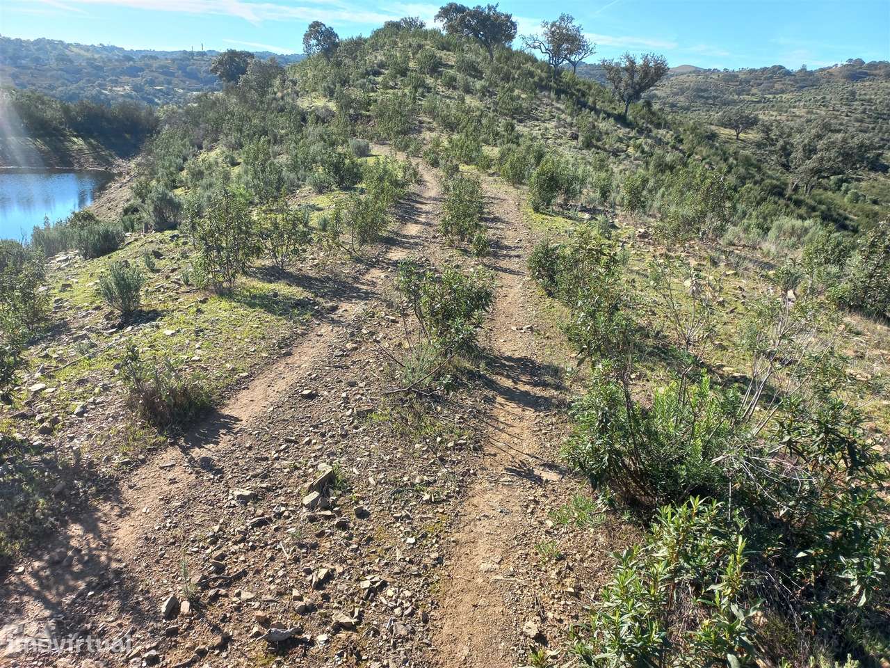 Terreno Rústico  Venda em Santa Clara-a-Nova e Gomes Aires,Almodôvar-9