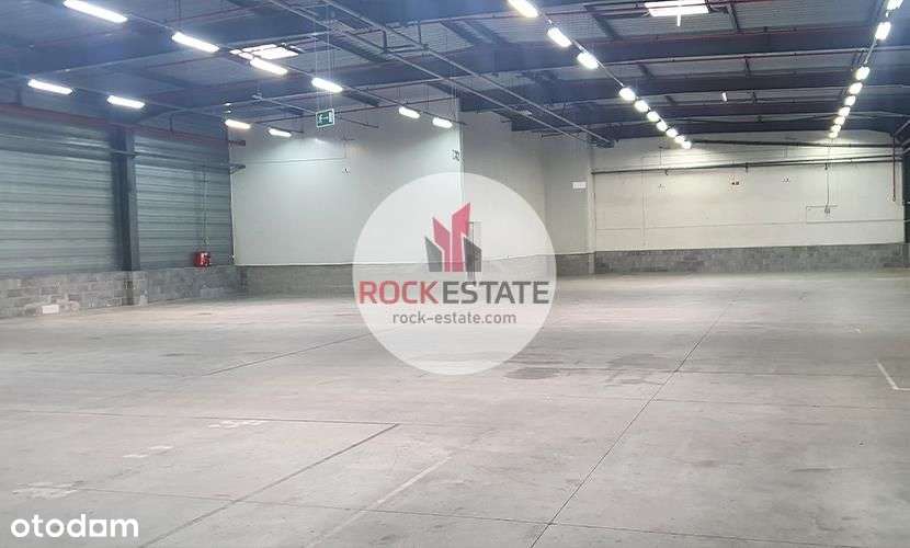Magazyn na wynajem 1023 m2 - 0% prowizji-7