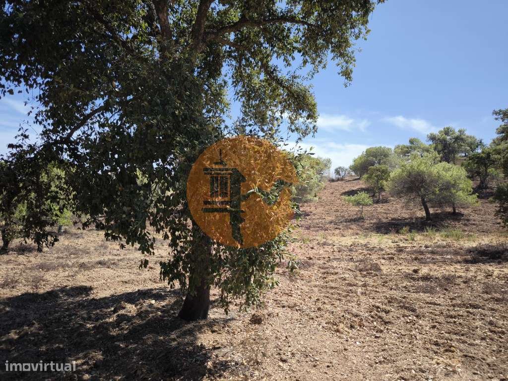 TERRENO RUSTICO COM 22.320 M2 - POSSIBILIDADE DE CONSTRUIR APOIO AG... - Grande imagem: 4/37