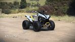 Can-Am Renegade - 1