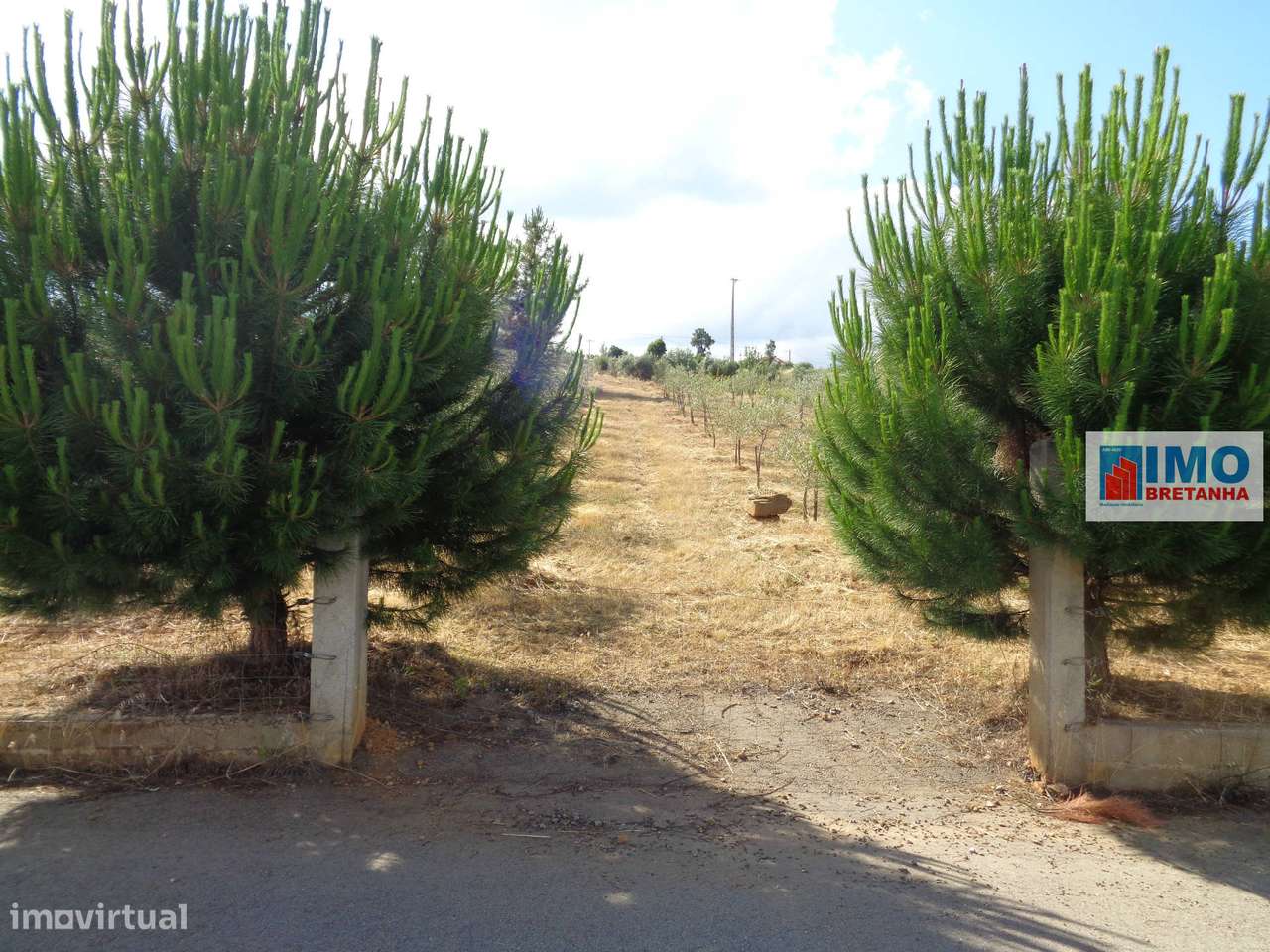 Lote de Terreno Agricola  - Dominguiso - Grande imagem: 4/13