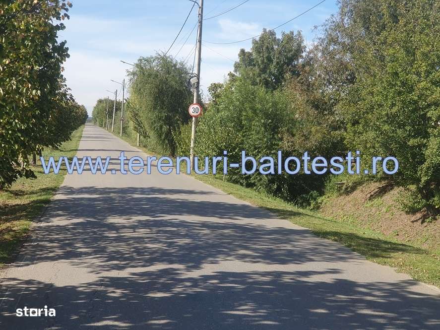 Teren Balotesti, asfalt-30 m,electricitate,gaz,canal ,apa - Imagine principală: 5/16