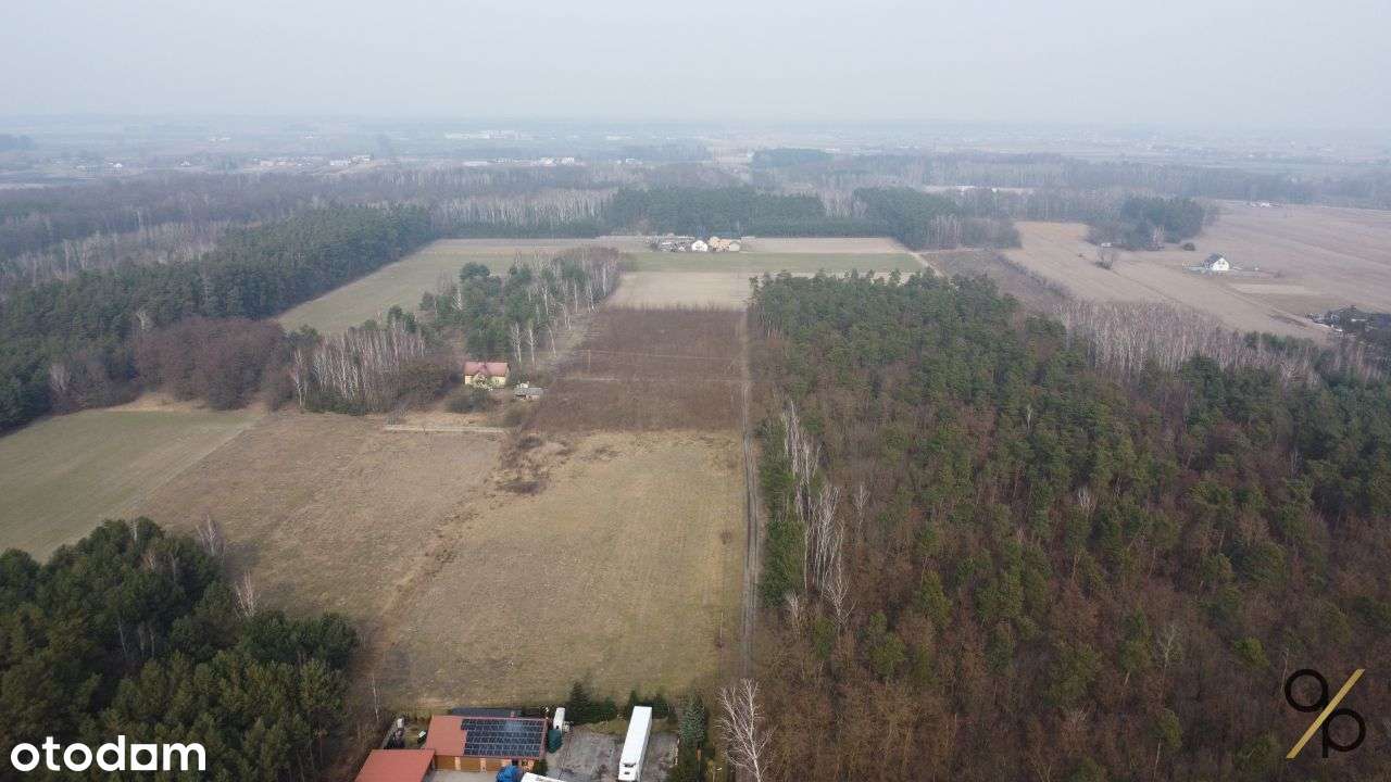 Działki budowlano-leśne w Janowie-Ruszkach - Pełny obrazek: 5/6